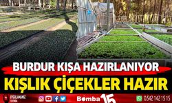 Burdur kışlık çiçeklerle kışa hazırlanıyor