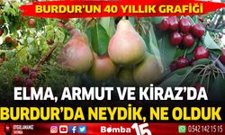 Burdur Ticaret Borsası Burdur'un 40 yıllık meyve üretim verilerini paylaştı