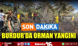 Burdur Çeltikçi'de orman yangını