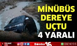 Dereye uçan minibüste 4 kişi yaralandı