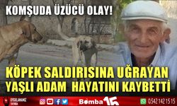 Köpek saldırısına uğrayan yaşlı adam hayatını kaybetti