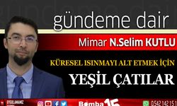 Selim Kutlu yazdı, küresel ısınmayı alt etmek için yeşil çatılar