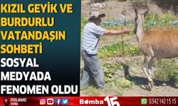 Kızıl Geyik ve Burdurlu Vatandaşın Sohbeti Sosyal Medyada Fenomen Oldu