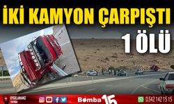 Büyükbaş hayvan yüklü kamyon, patates yüklü kamyonla çarpıştı: 1 ölü