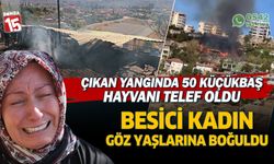 Çıkan yangında tüm hayvanları telef oldu. Talihsiz kadın gözyaşlarına boğuldu