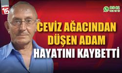 Ceviz ağacından düşen adam hayatını kaybetti