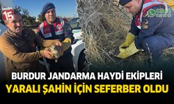 Burdur Jandarma HAYDİ ekipleri yaralı şahin için seferber oldu