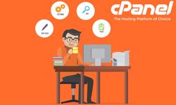 cPanel Hosting Hangi Projelerde Kullanılır?