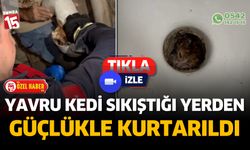 Isparta'da tuvalet giderine sıkışan kedi güçlükle kurtarıldı