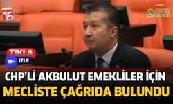 CHP'li İzzet Akbulut meclisten emekliler konuşma yaptı