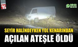 Kamyonetle seyir halindeyken yol kenarından açılan ateşle hayatını kaybetti