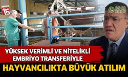 Yüksek Verimli ve Nitelikli Embriyo Transferiyle Hayvancılıkta Büyük Atılım