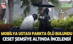 Mobilya ustası parkta ölü bulundu