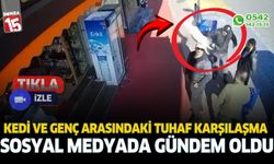 Kedi ve genç arasındaki tuhaf karşılaşma sosyal medyada gündem oldu