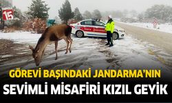 Burdur'un Kızıl Geyik'lerinden görevi başındaki Jandarma ekibine sürpriz