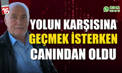 Yolun karşısına geçmeye çalışan yayaya otomobil çarptı