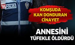 Afyonkarahisar'da annesini tüfekle öldürdü