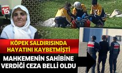 Antalya'da köpek saldırısında hayatını kaybetmişti, işte mahkemenin sahibine verdiği ceza...