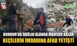 Burdur'da mahsur kalan keçilerin imdadına AFAD yetişti