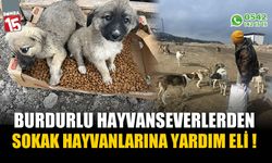 Burdur’da sokak hayvanlarına yardım eli!