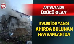 Antalya'da evi yanan ailenin hayvanları da telef oldu