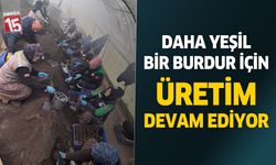 Burdur Belediyesi süs bitkilerini kendi yetiştiriyor