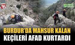 Burdur'da mahsur kalan keçileri AFAD ekipleri kurtardı