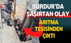 Burdur Belediyesi arıtma tesisinde ölü buzağı bulundu