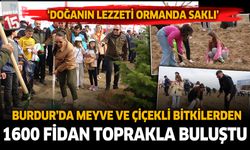 Burdur'da orman haftasında meyve ve çiçekli bitkiler dikildi