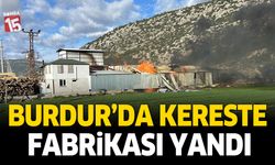 Burdur'da kereste fabrikası yandı