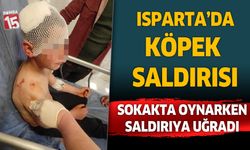 Isparta'da sokakta oyun oynayan çocuğa köpek saldırdı