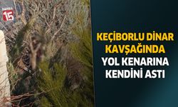 Anayol üzerinde hayatına son verdi