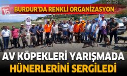 Burdur'da av köpekleri yarışmada hünerlerini sergiledi