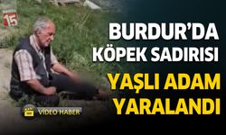 Burdur’da Başıboş Köpek Dehşeti: Yaşlı Adam Yaralandı