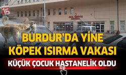 Burdur'da yine sokak köpeği ısırma vakası