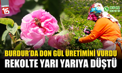 Burdur'da don gül üretimini vurdu, rekolte yarı yarıya düştü