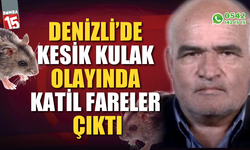 Denizli'de kesik kulak olayında suçlu fareler çıktı