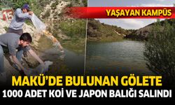 Burdur MAKÜ'de bulunan gölete 1000 süs balığı salındı