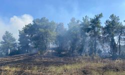 Antalya'da ormanlık alanda yangın