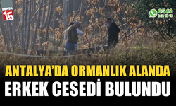 Antalya’da ormanlık alanda bir erkeğin cansız bedeni bulundu