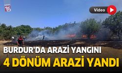 Burdur'da 4 dönüm arazi yandı. Sebep atılan camlar!..