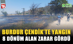 Burdur Çendik'te Ekili Ekin Yangını: 8 Dönüm Alan Zarar Gördü