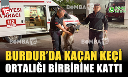 Burdur'da kaçan keçi geç saatlerde yakalandı