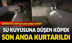 Burdur'da su kuyusuna düşen köpek son anda kurtarıldı