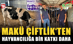 MAKÜ Çiftlik’ten Hayvancılığa Bir Katkı Daha