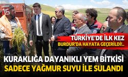 Türkiye'de ilk kez Burdur'da denendi. BTB'den kuraklığa dayanıklı  yem bitkisi