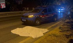 Litvanyalı turist kadın yaya geçidinde can verdi