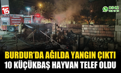 Burdur'da yangında 10 küçükbaş hayvan telef oldu