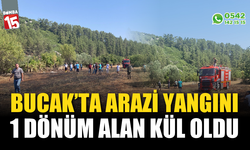 Bucak'ta çıkan arazi yangınında 1 dönüm alan yandı