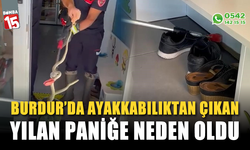 Ayakkabılıktan çıkan yılan paniğe neden oldu